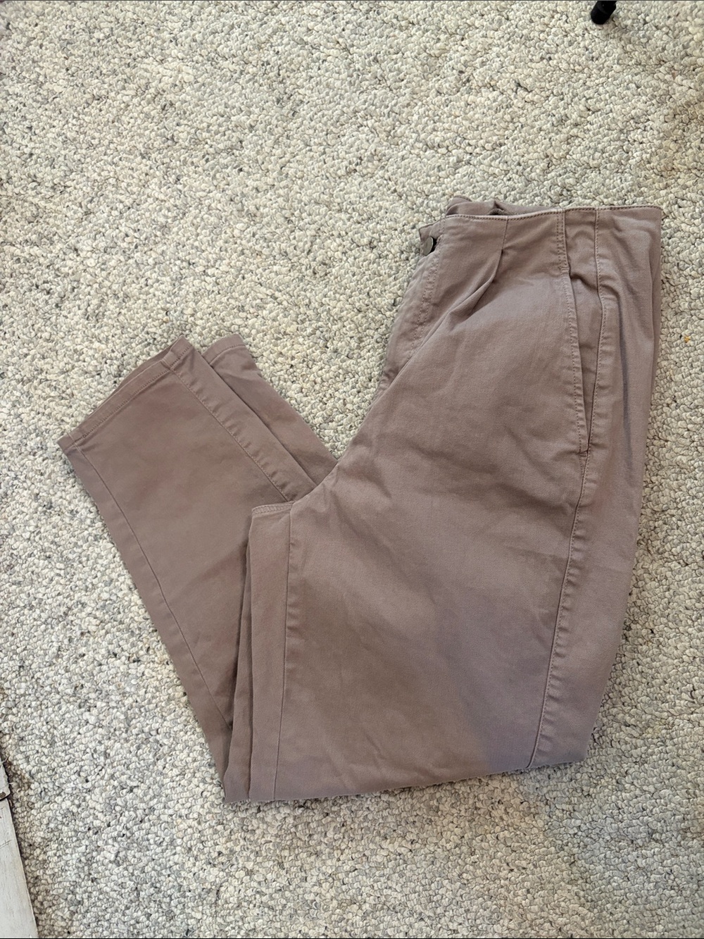 Eileen Fisher taupe pleated front cotton twill pants Size 12